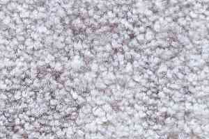 Ковролин AW Masquerade Palio 47 фото  | FLOORDEALER